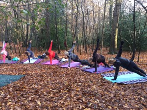 Woodland Yoga